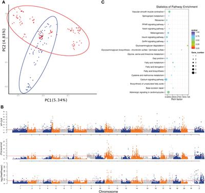 Genomics and transcriptomics reveal new molecular mechanism of <mark class="highlighted">vibriosis</mark> resistance in fish
